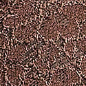 Dantelli Bikini Külot