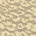 Lazer Kesim Leoparlı Dantelli Cheeky Külot