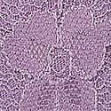 Dantelli Ayarlanabilir V-String Külot