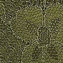 Dantelli Ayarlanabilir V-String Külot