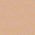 Dantelli Brazilian Külotu