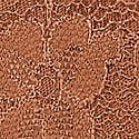 Dantelli Ayarlanabilir V-String Külot