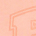 Ivy Kampüs Kapüşonlu Sweatshirt