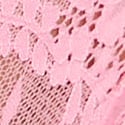 Dantelli Bikini Külot