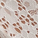 Dantelli Bikini Külot