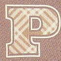 Ivy Kampüs Polar Kapüşonlu Sweatshirt