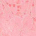 Dantelli Brazilian Külot