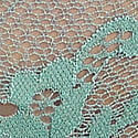 Dantelli Bikini Külot