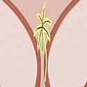 Flirty Tül Tanga