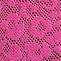Lazer Kesim Leoparlı Dantelli Cheeky Külot