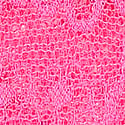 Wink V-String Külot