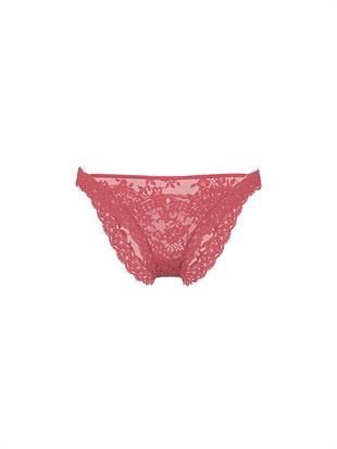 Dantelli Bikini Külot