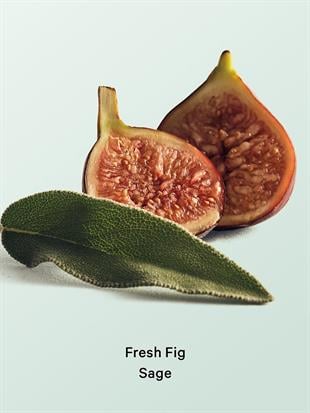 Fresh Fig Sage Nemlendirici Vücut Losyonu
