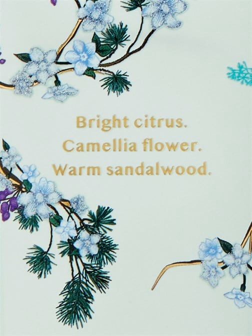 Limited Edition Wonderland Woods Vücut Losyonu