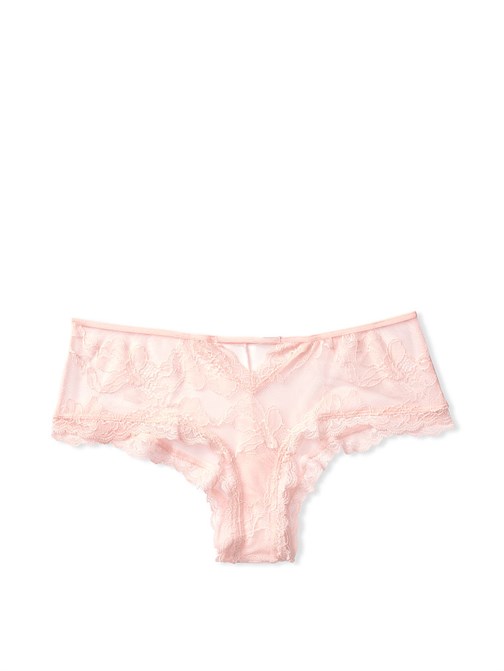 Sheer Mesh & Lace Cutout Cheeky Panty