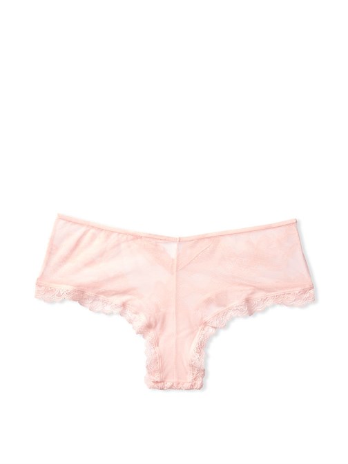 Sheer Mesh & Lace Cutout Cheeky Panty