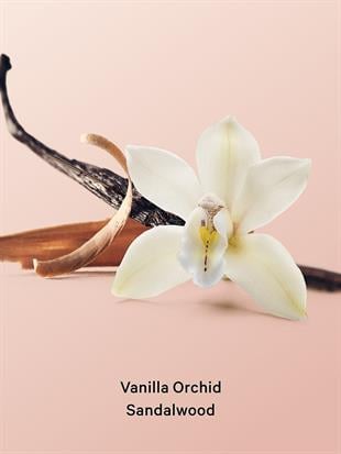 Vanilla Orchid Sandalwood Köpük Vücut Peelingi