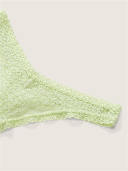WEAR EVERYWHERE DANTELLİ TANGA KÜLOT