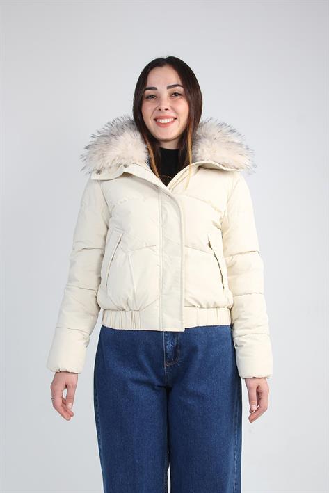 250010 Mont