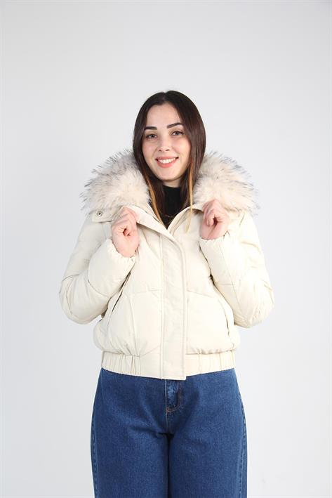 250010 Mont