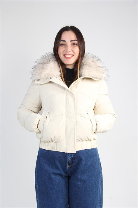 250010 Mont