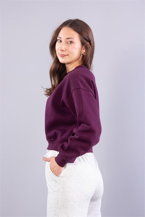 2705 Reglan Kol Altı Ribanalı Kısa Sweat