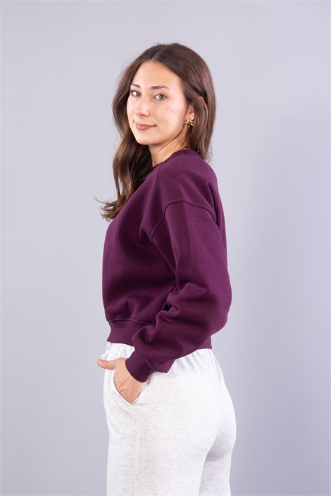 2705 Reglan Kol Altı Ribanalı Kısa Sweat