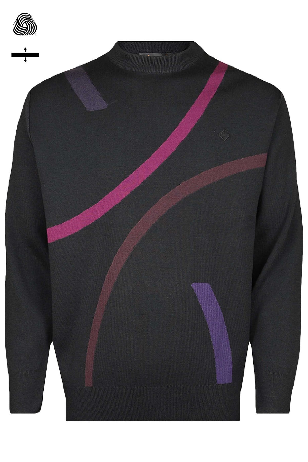 Çelik Örme Klasik Kalıp Yünlü Bisiklet Yaka Siyah Tasarım Triko