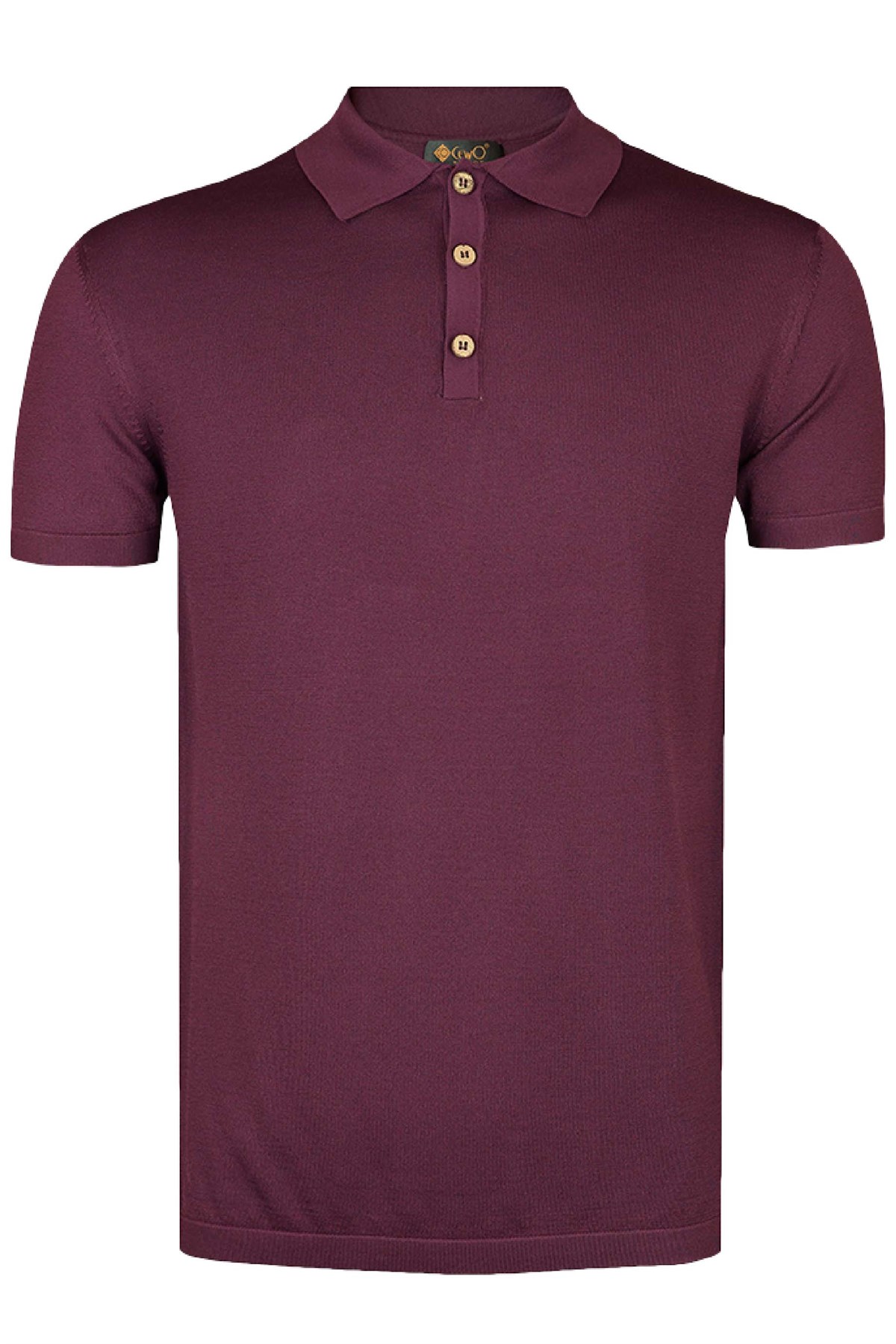 Basic Patlıcan Polo Triko Tişört