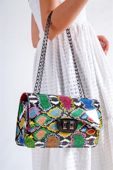 Capone Parma Women Multicolored Shoulder Bag image 2