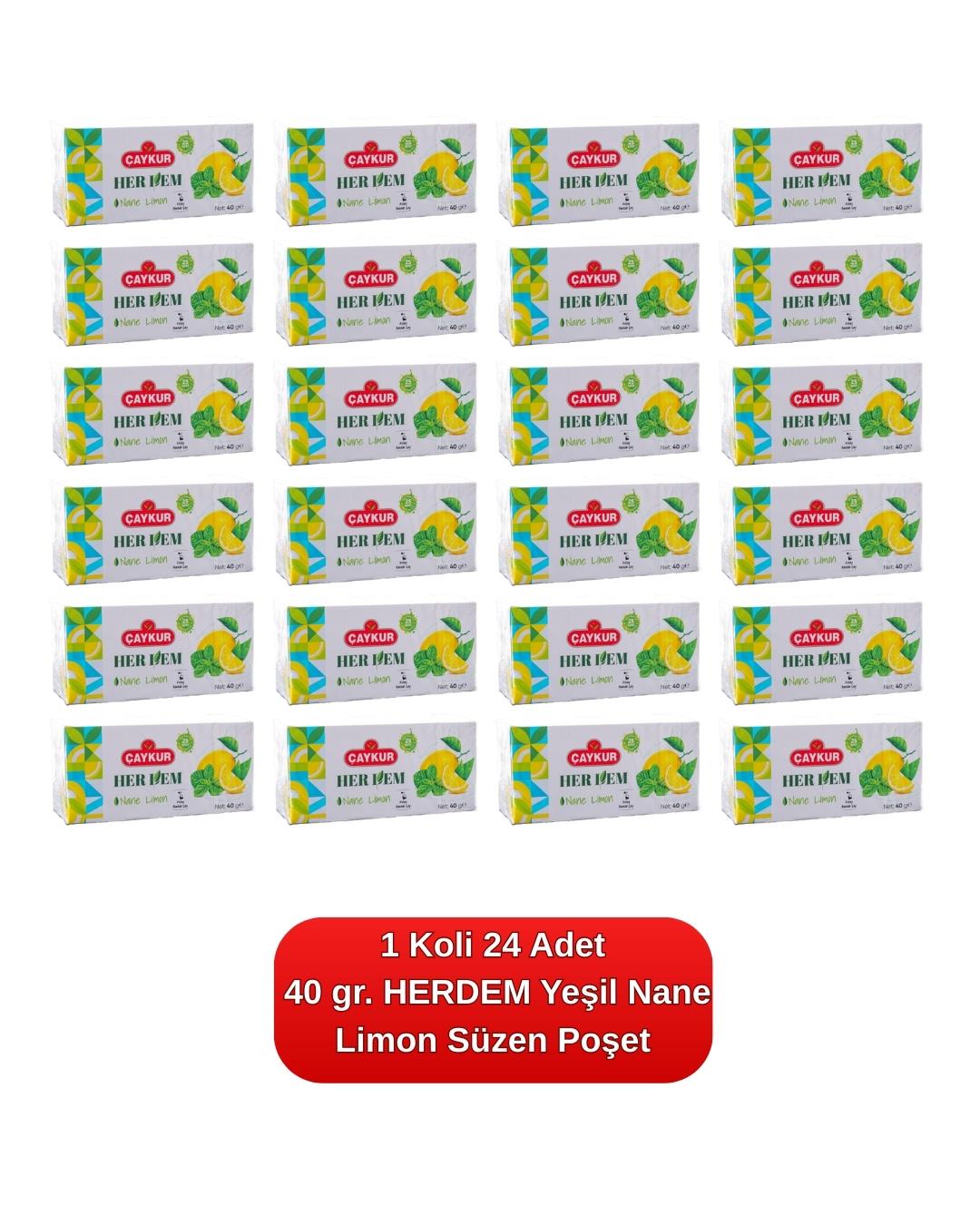 HERDEM Yeşil Nane Limon Çayı Süzen Poşet 40 gr. 24'lü Koli 