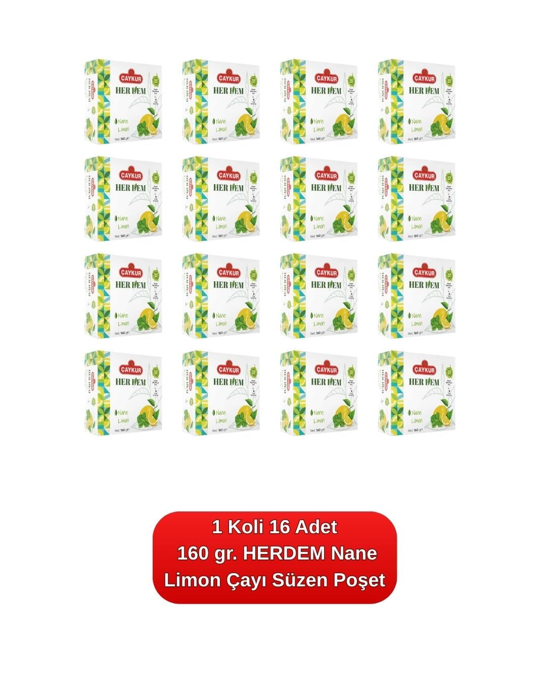 HERDEM Yeşil Nane Limon Çayı Süzen Poşet 160 gr. 16'lı Koli