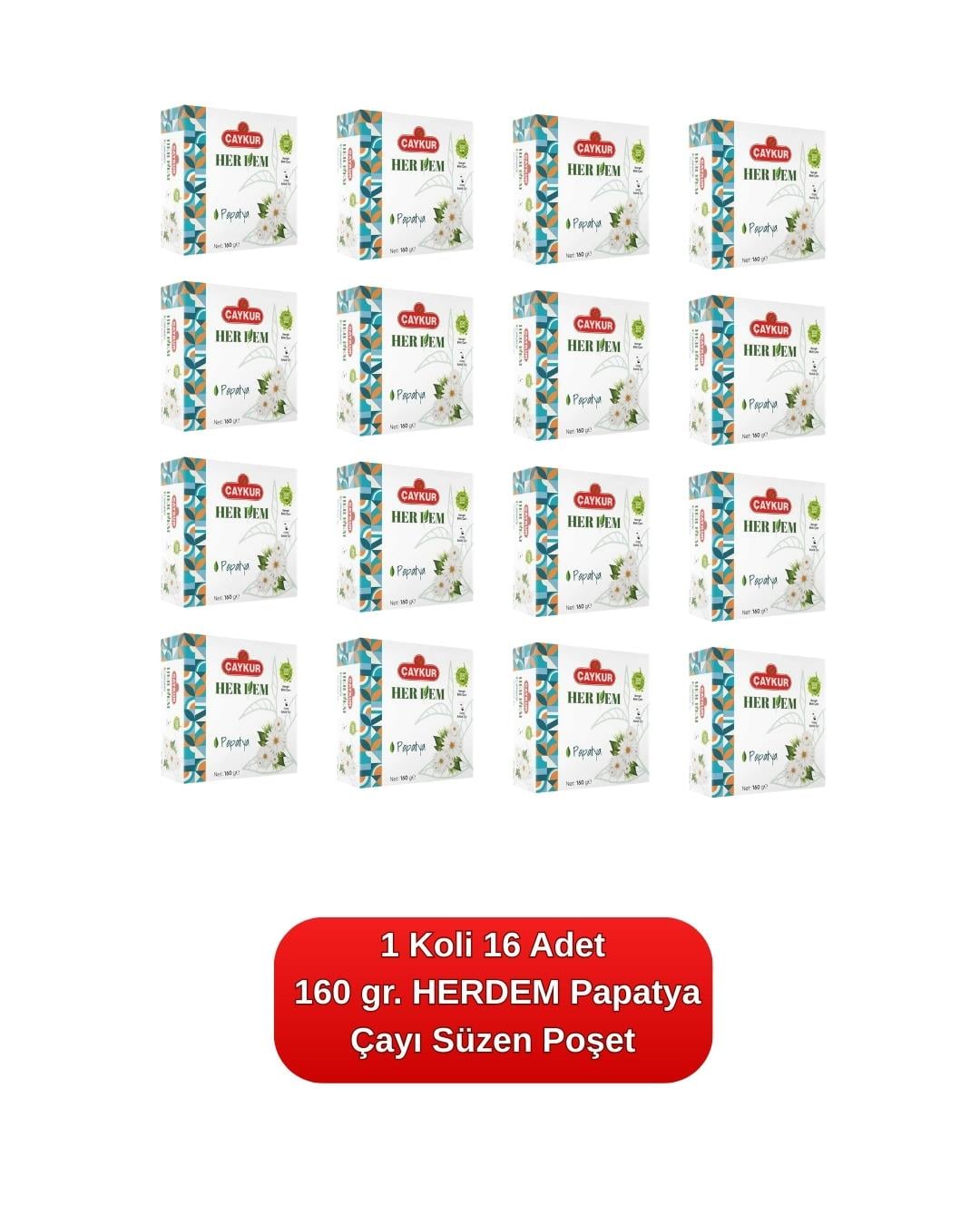 HERDEM Yeşil Papatya Çayı Süzen Poşet 160 gr. 