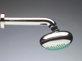 Artema Duş Başlığı, İstanbul (Duvardan) A48006