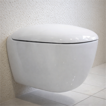 Geberit Citterio Rimfree Asma Klozet (Kapak Dahil) , 56 cm 500.510.01.1