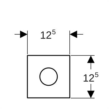 Geberit Fotoselli Kumanda Paneli Siyah Krom, 116.034.QD.1