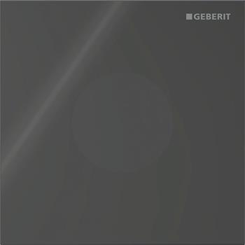 Geberit Pisuvar Deşarj Kontrolü İçin Tip 40 Fotoselli Kumanda Paneli Siyah, 246.124.SJ.1