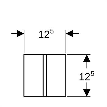 Geberit Pisuvar İçin Fotoselli Tip 40 Kumanda Paneli Fırçalı Pirinç, 116.237.QF.1