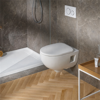 Geberit Selnova Premium Rimfree Asma Klozet (Yavaş Kapanır Kapak Dahil) 503.022.00.1