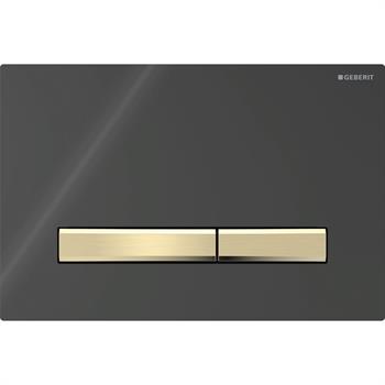 Geberit Sigma 50 Kumanda Paneli Çift Basmalı Siyah, 980.073.DW.1