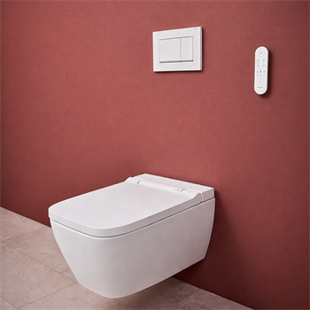 Geberit Sigma30 Kumanda Paneli, Çift Basmalı, Beyaz/Parlak/Beyaz, 115.883.KJ.1