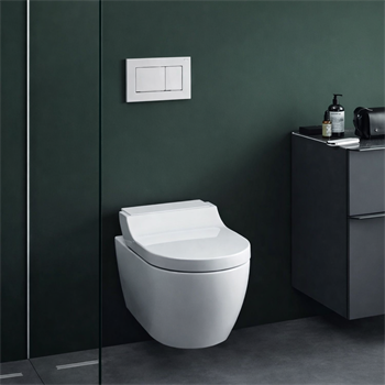 Geberit Sigma30 Kumanda Paneli, Çift Basmalı, Beyaz/Parlak/Beyaz, 115.883.KJ.1