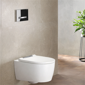 Geberit Sigma50 Kumanda Paneli, Çift Basmalı (Krom Basma Buton), Siyah, 115.788.DW.2