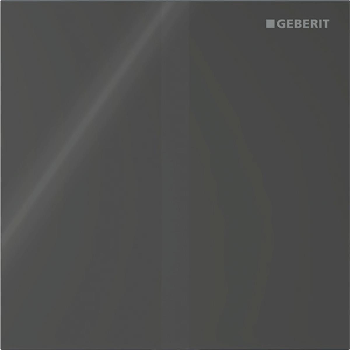 Geberit Pisuvar Deşarj Kontrolü İçin Tip 40 Fotoselli Kumanda Paneli Siyah, 246.125.SJ.1Geberit246.125.SJ.1Kumanda Paneli