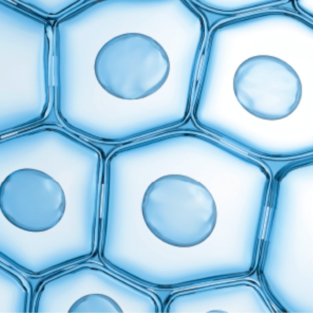 Skin Barrier Therapy