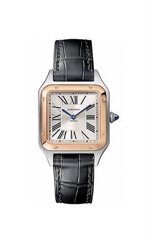 Cartier W2SA0012 Santos Dumont Kadın Kol Saati