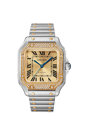Cartier W3SA0007 Santos Kadın Kol Saati