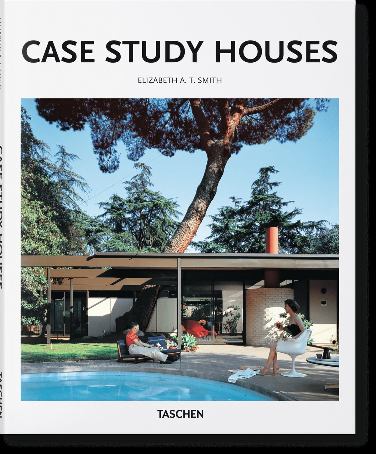 Basic Art Series. Case Study Houses