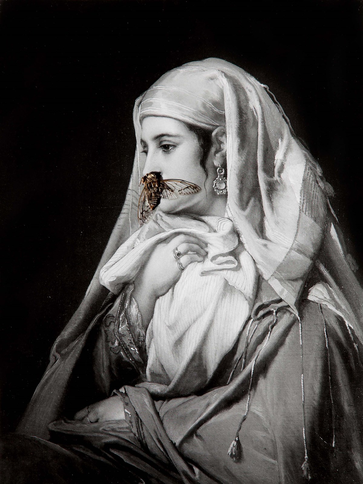 Portrait - İsmet Doğan