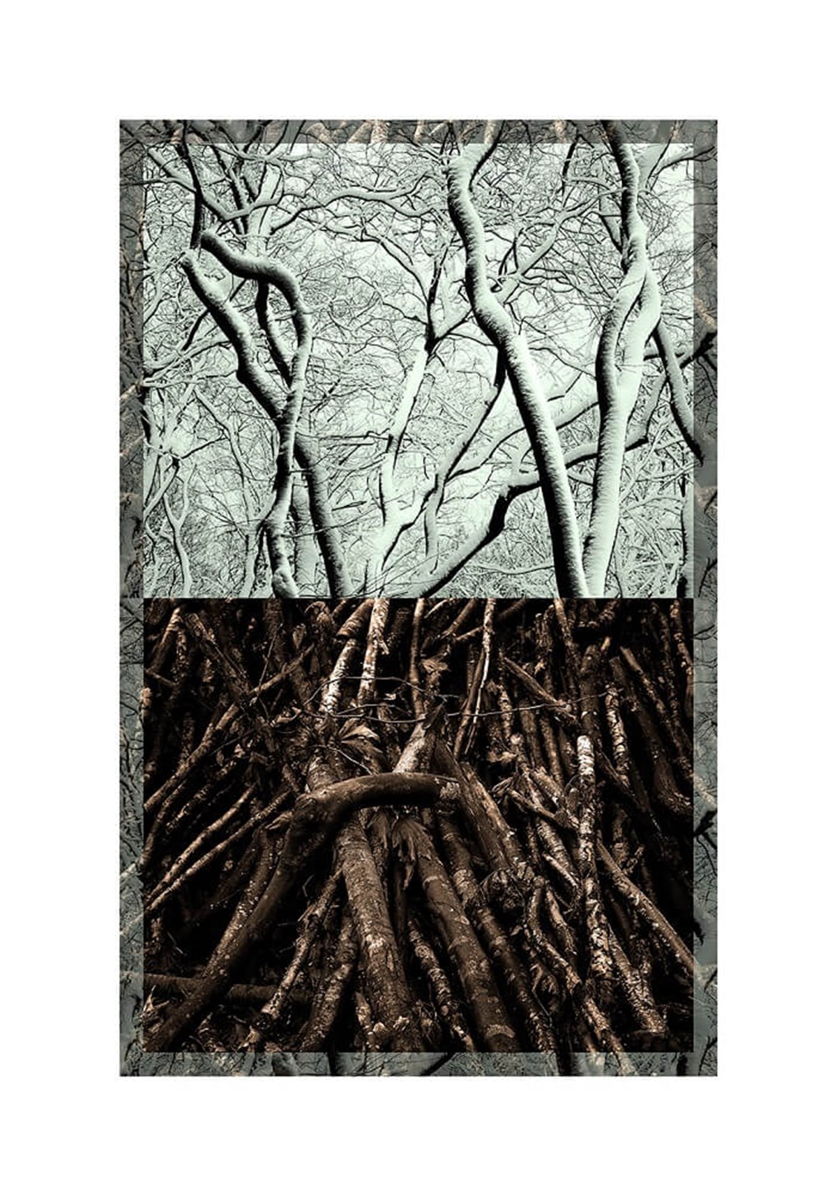 Bir Kış Günü 003 - Ahmet Elhan